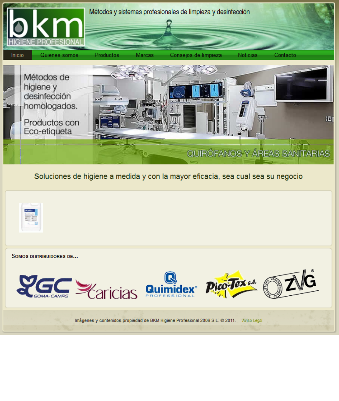 Captura Web BKM Higiene(2011)